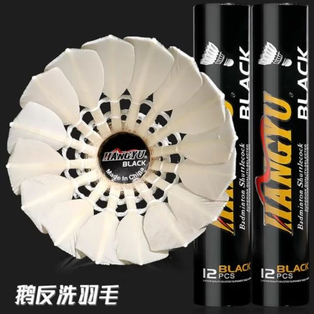 德约科维奇备战训练动态引关注